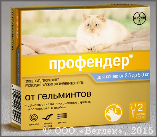 1 пипетка - 320 руб