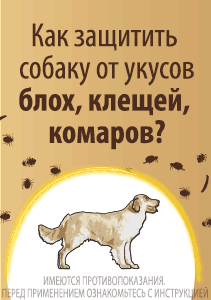 Тест