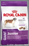         8  18  (Royal Canin Giant Junior), . 4 