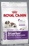         2 ,     (Royal Canin Giant Starter), . 4 