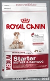        2 ,     (Royal Canin Medium Starter), . 1 