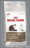 Роял Канин для кошек старше 12 лет, Измельченные кусочки в Соусе (488001 Royal Canin Ageing +12), пауч уп. 85 г