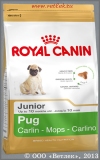         2  10  (Royal Canin Pug Junior), . 500 