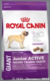         8  18      (Royal Canin Giant Junior Active), . 15 