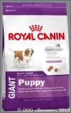 Роял Канин для щенков очень крупных пород от 2 до 8 месяцев (Royal Canin Giant Puppy), уп. 3,5 кг