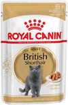         (Royal Canin British Shorthair Adult  540001), . 85 