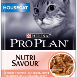 Pro plan outlet housecat