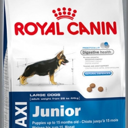 royal maxi junior